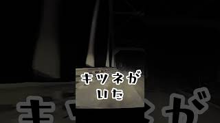 【音量注意】雪山ドライブにビビり散らかす23歳