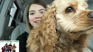 A Blizzard, a Lost Tooth, and an Injured Dog