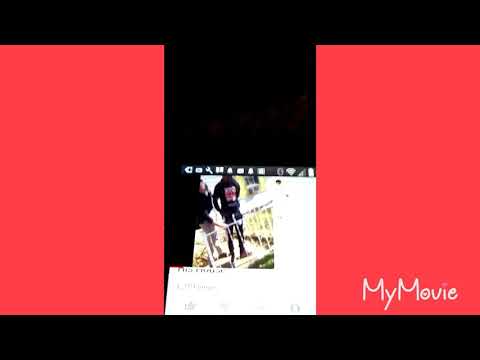 BOOGOTTI KASINO GET S ARRESTED AT HOME..ON THE G SHRIMP SHOW