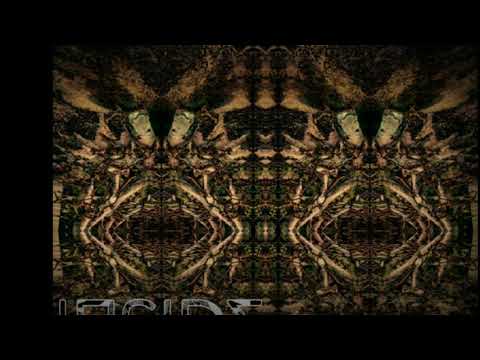 Maleficarvm - Intrinsectus (153bpm) VA - Inside