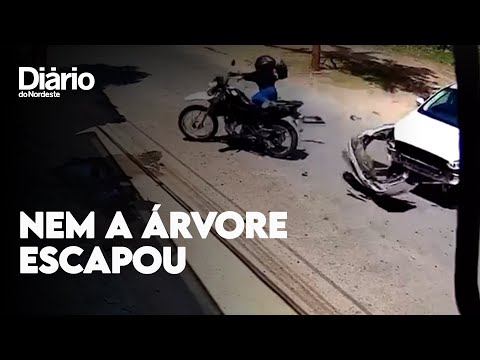 Motociclista colide em veículo e derruba árvore em Camocim; veja vídeo