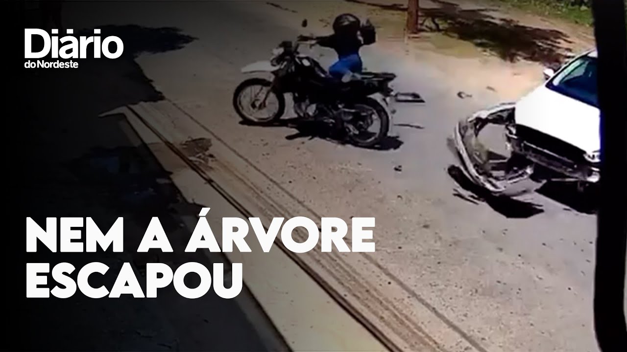 Imagem da notícia Motociclista colide em veículo e derruba árvore em Camocim; veja vídeo