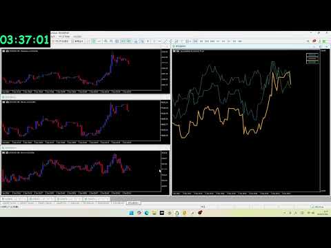 Video SecScaleMultiSymbol Viewer