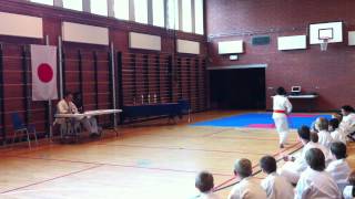 preview picture of video 'Nyborg Karateklub - Klubmesterskab 2012 - Sharuhan Srimurugan'