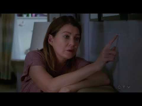 #GreysAnatomy 14x02 Meredith, Alex, and Maggie