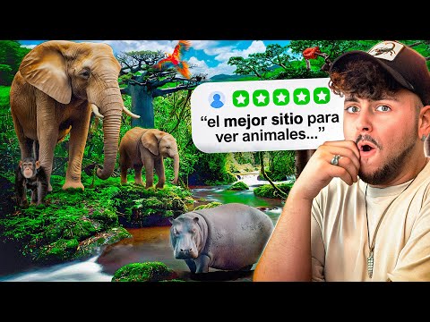The best zoo in Spain | Bioparc Valencia