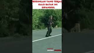 Download lagu Tingkah Kocak! Junior Batak Diminta Senior, Malah Bikin Ngakak 🤣🇮🇩MARPAUNG  #shortvideo #tniad mp3