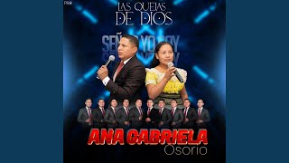 En la Oscuridad Andaba Yo