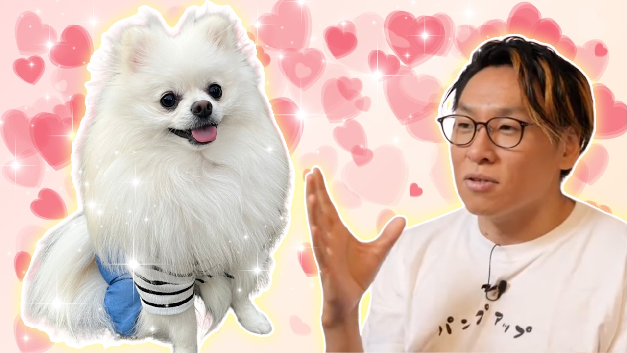 前足を舐めるのはなぜ？