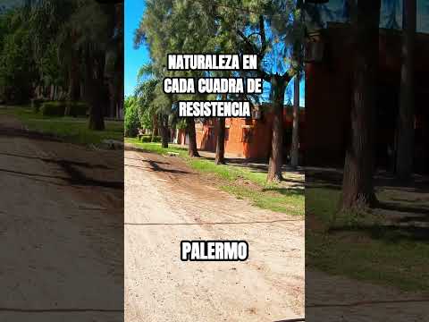 Dando la vuelta a la manzana: El rincón verde de Villa Palermo 🚲🌳