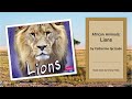African Animals Lions Pebble Plus