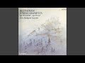 Beethoven: String Quartet No. 12 in E-Flat Major, Op. 127: IV. Finale. Allegro