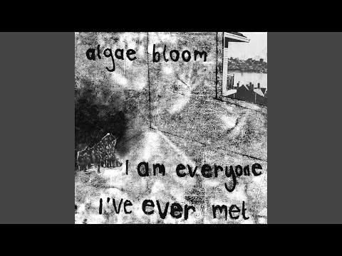 Lists - Leaves - Algae Bloom