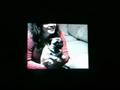 Plugged In Pug AFV