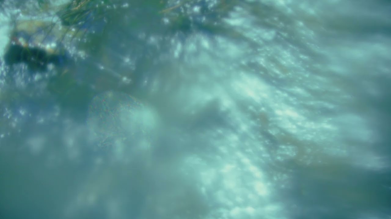 Wandering Creek (Official Visualiser)