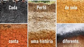 Como os Solos são Formados?