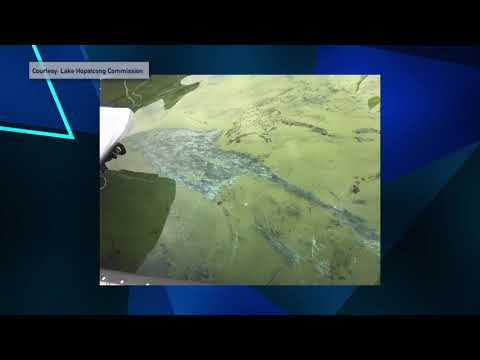 Lake Hopatcong Swimming