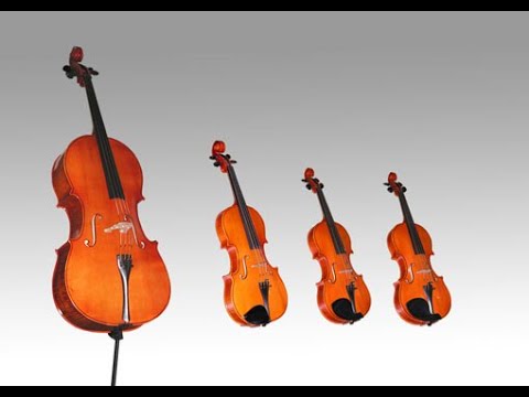 Quartet for Strings