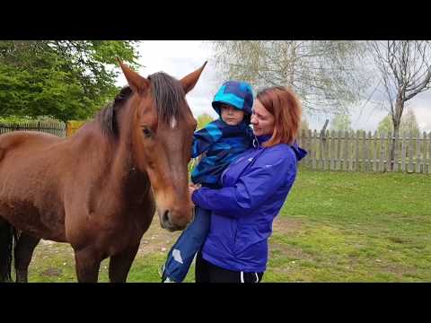 Paste la Pensiunea Dacica 2019   Episodul 5