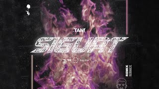 Tani - Sigurt (Remix)
