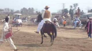 preview picture of video 'Neza Bazi M B DIN Shaheedanwali Ch.Ashraf Hayat Gondal'
