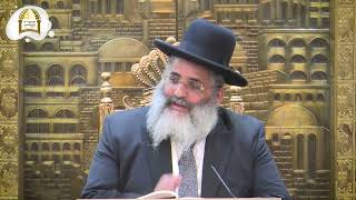 סדרת הכנה למתן תורה | קנייני תורה מפסח עד שבועות ה'תשפ"ג | שיעור מס' 11 | בשימוש חכמים ובדקדוק חברים