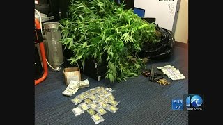 Stephanie Harris on drug bust in Suffolk