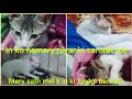 Best Of All Please Subscribe My Channel Support Me Thank You