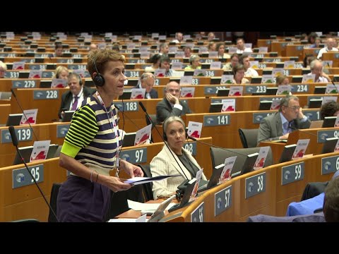 La imagen viral de un diputado 'echando una siesta' mientras Chivite interviene en Bruselas  La imagen viral de un diputado 'echando una siesta' mientras Chivite interviene en Bruselas