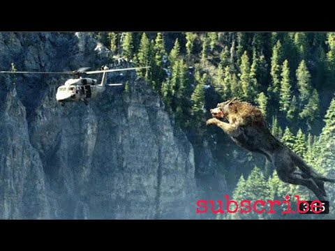 Rampage (2018) movie clip HD// Giant wolf attack scene// Hollywood movie