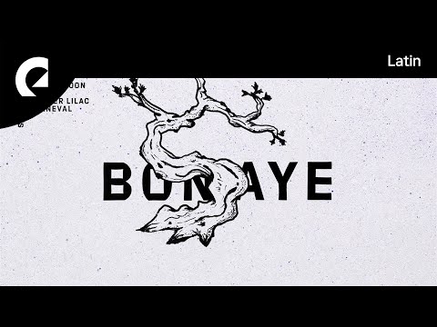 Bonsaye - Blue Lagoon