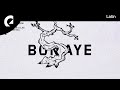 Bonsaye Blue Lagoon