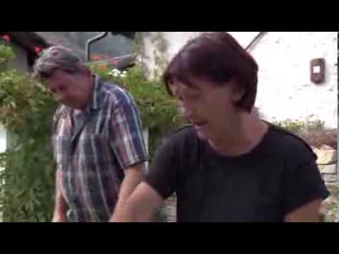 Il lichene islandico