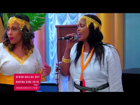 RADINA DIRE MILAA FARDAAN SIBARBAADAA 2019