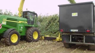 biogasanlage köln lind sorghum ernte
