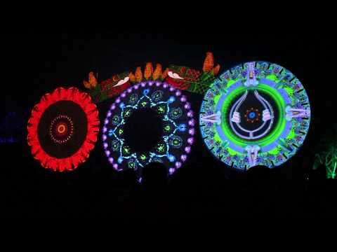 Astral Waves live - Ometeotl 2018