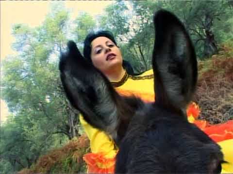 2 Panine 1 Salsice - Parodi - Humor Shqip