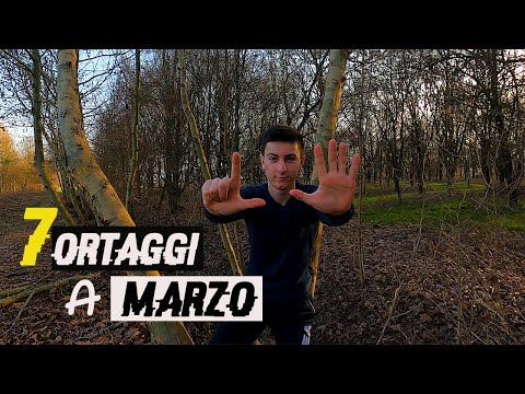 , title : '7 ortaggi FACILI da coltivare A MARZO |#2'