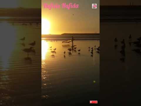 شاطئ مدينة الصويرة وقت الغروب منظر رائع Essaouira beach at sunset
