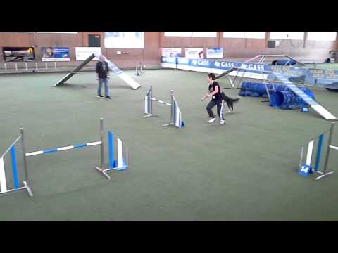 Kaiseraugst 31.08.14 Cendrine et Happy Agility