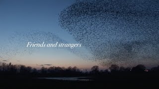 Jack Barksdale - Friends and Strangers (Official Lyric Video)