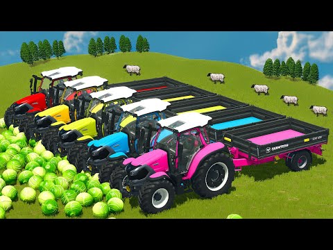 LOAD AND TRANSPORT WHITE CABBAGE WITH LINDNER TRACTORS AND TRUCKS - Farming Simulator 25