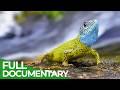 Portugal S Mountains Of Wild Wonders Free Documentary Nature