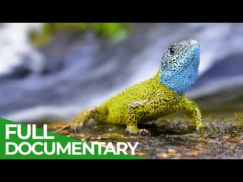 Portugal's Mountains Of Wild Wonders