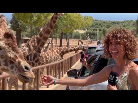 ZOOSAFARI FASANOLANDIA FASANO (BR)