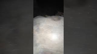 preview picture of video 'nhũ đá hang thăm tẩu'