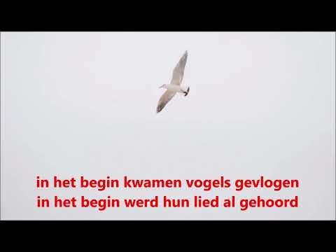 In het begin lag de aarde verloren