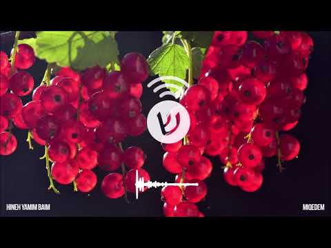 Hineh yamim baim - MIQEDEM (Español)