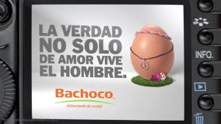 Alimentando De Verdad A México