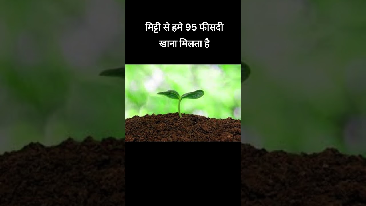 STUDY: मिट्टी में पाई जाती है 59% जैव विविधता ( biodiversity)  #biodiversity